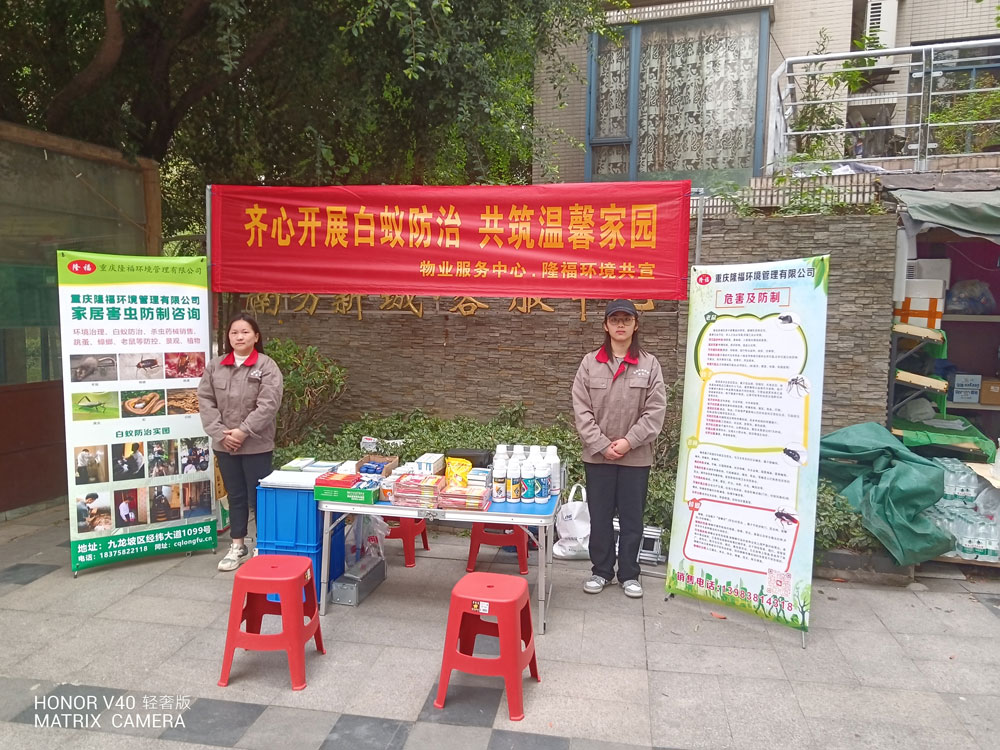 齊心開展白蟻防治 共筑溫馨家園