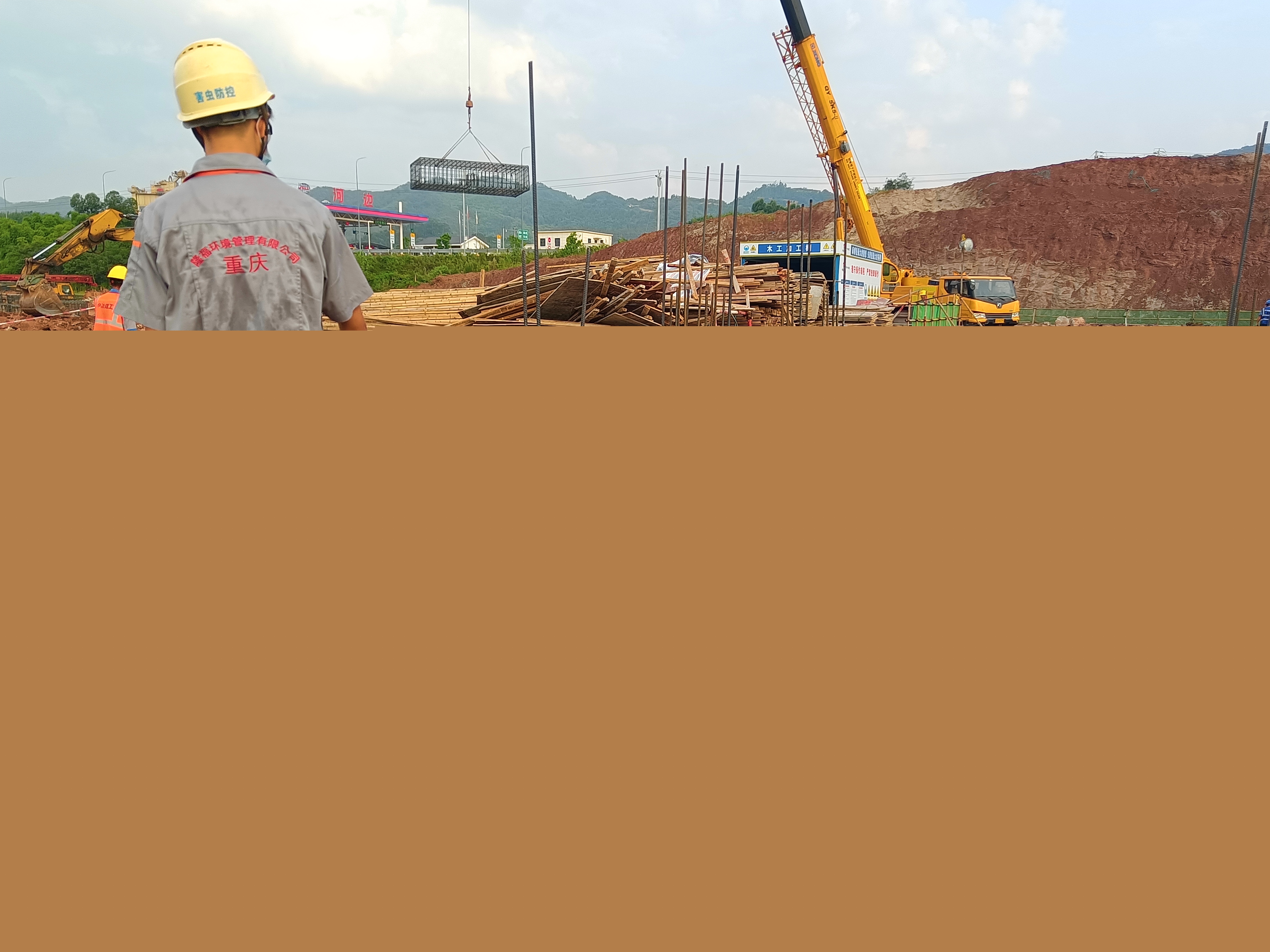 重慶（璧山）綠色低碳材料產業園白蟻預防正式啟動